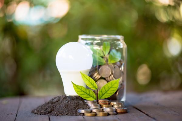 Jar with coins next to energy saving bulb, sitting on top of soil with a plant in front.