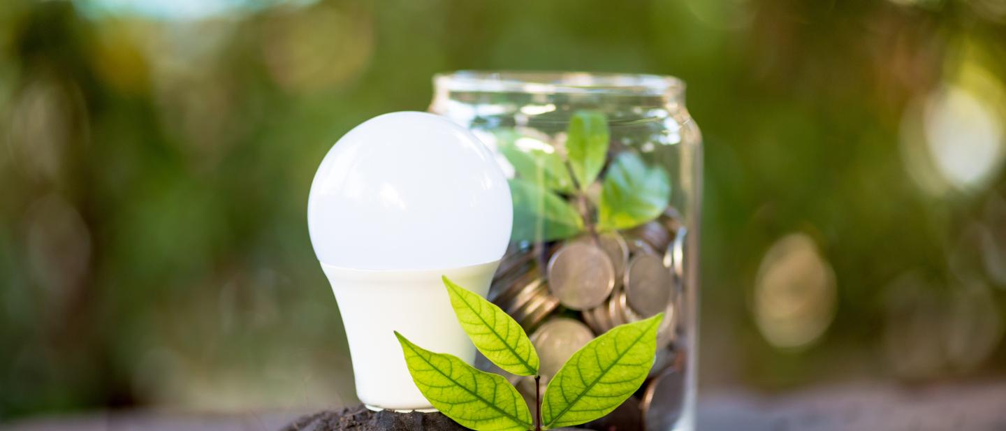 Jar with coins next to energy saving bulb, sitting on top of soil with a plant in front.